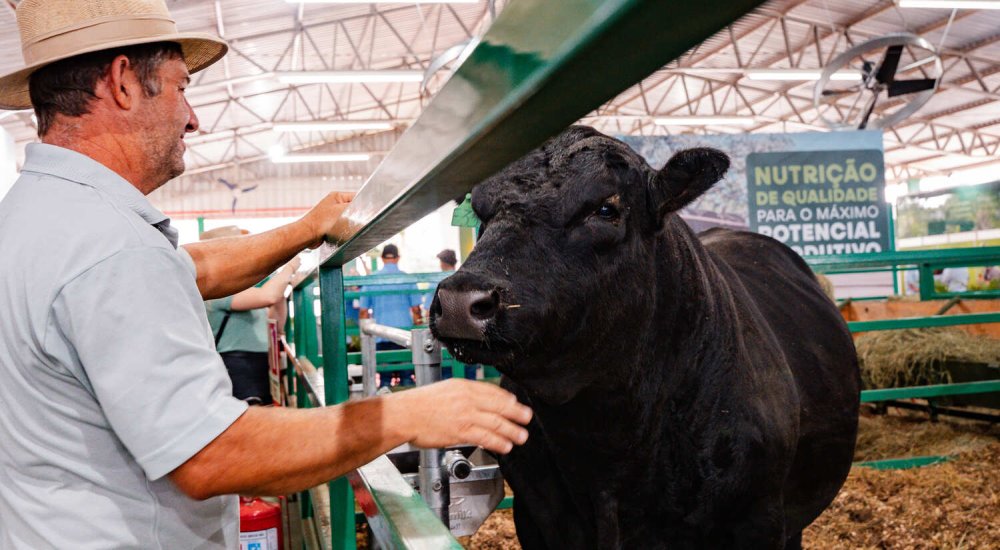Produ��o Animal oferece orienta��es e investimentos para futuro do setor