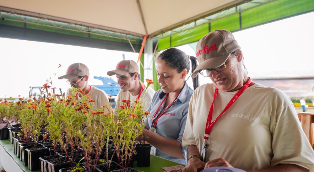Viveiro de Cidadania destaca inclus�o e sustentabilidade na Expodireto Cotrijal