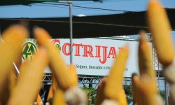 Conceituais