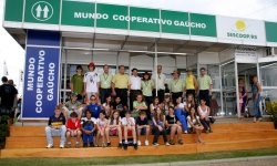 Cooperativismo - Sescoop RS - 2008