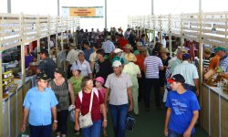 Pavilho da Agricultura Familiar - 2011