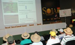 Palestra Manejo de Plantas de Difcil Controle