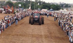 Atividades pelo parque 2001