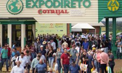 Pblico 20 Expodireto Cotrijal - 2019