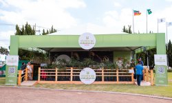 rvores frutferas e araucrias so novidades do Viveiro de Cidadania na Expodireto Cotrijal 2025