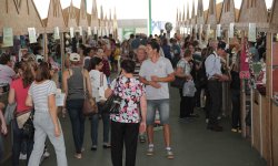 Pavilho da Agricultura Familiar