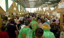 Pavilho da Agricultura Familiar 2016