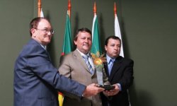 Semente de Ouro - 2008