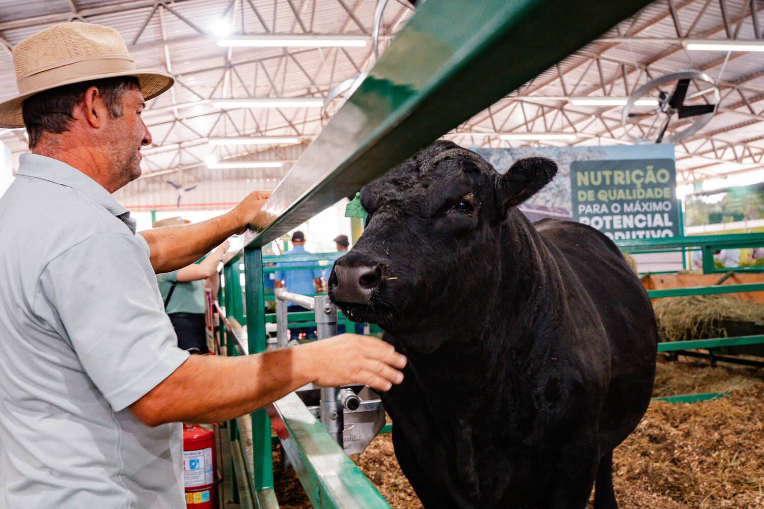 Produ��o Animal oferece orienta��es e investimentos para futuro do setor