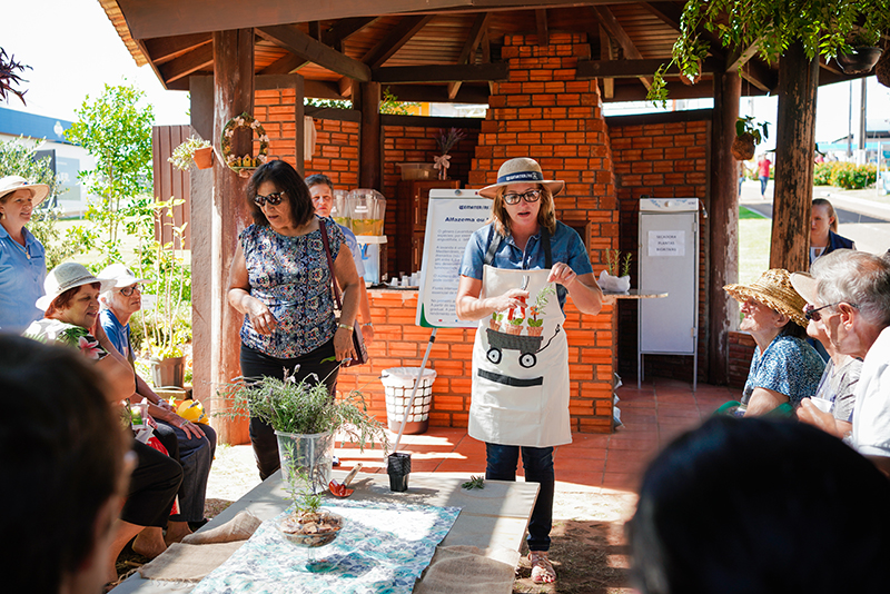 Horto de Plantas Bioativas refor�a os benef�cios da lavanda
