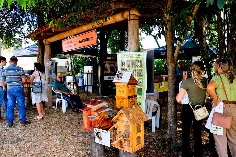 Expodireto Cotrijal: Apicultura e Meliponicultura atraem p�blico � parcela tem�tica da Emater/RS-Ascar
