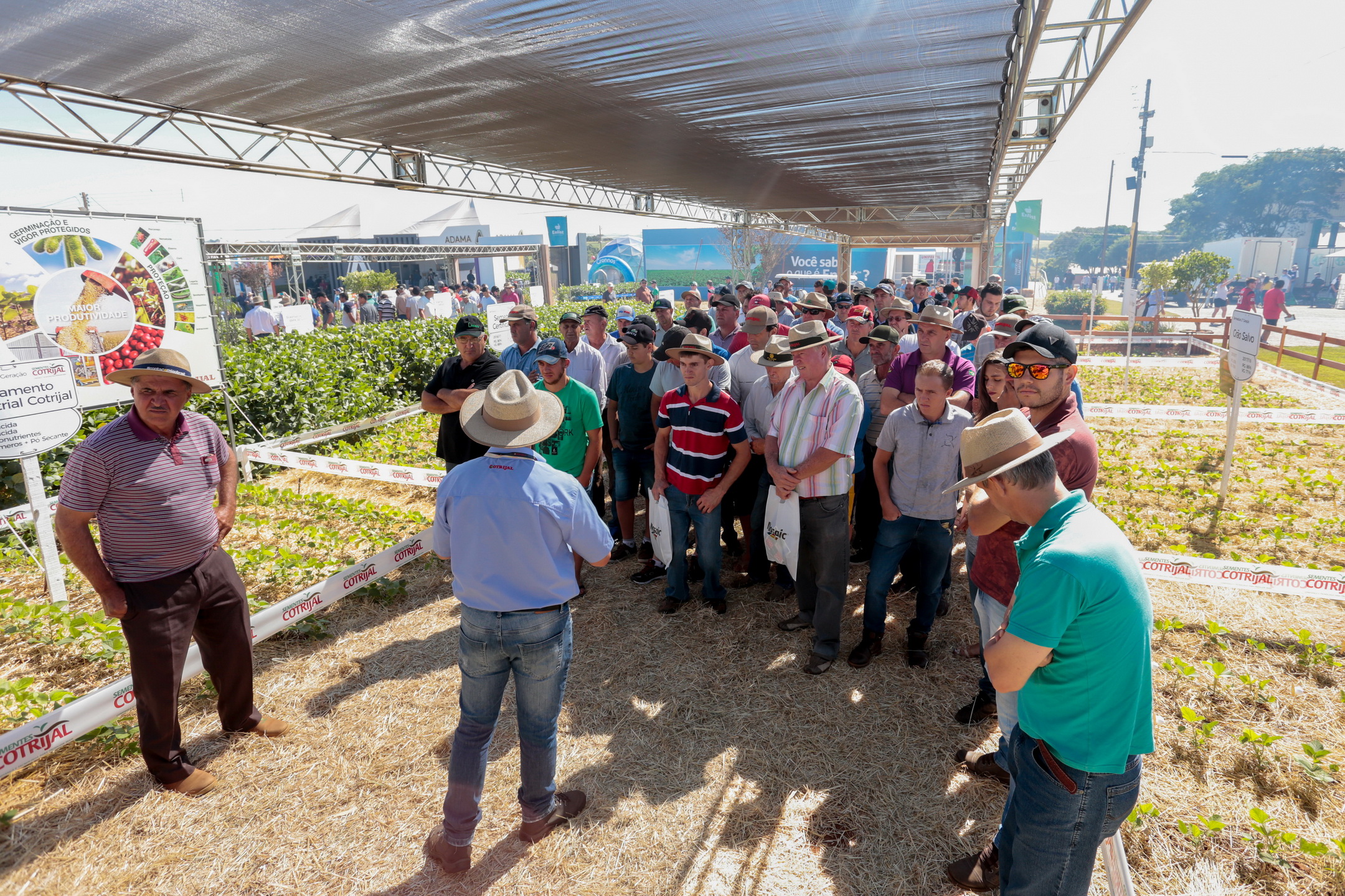 Tecnolog�as aliadas a la producci�n sustentable