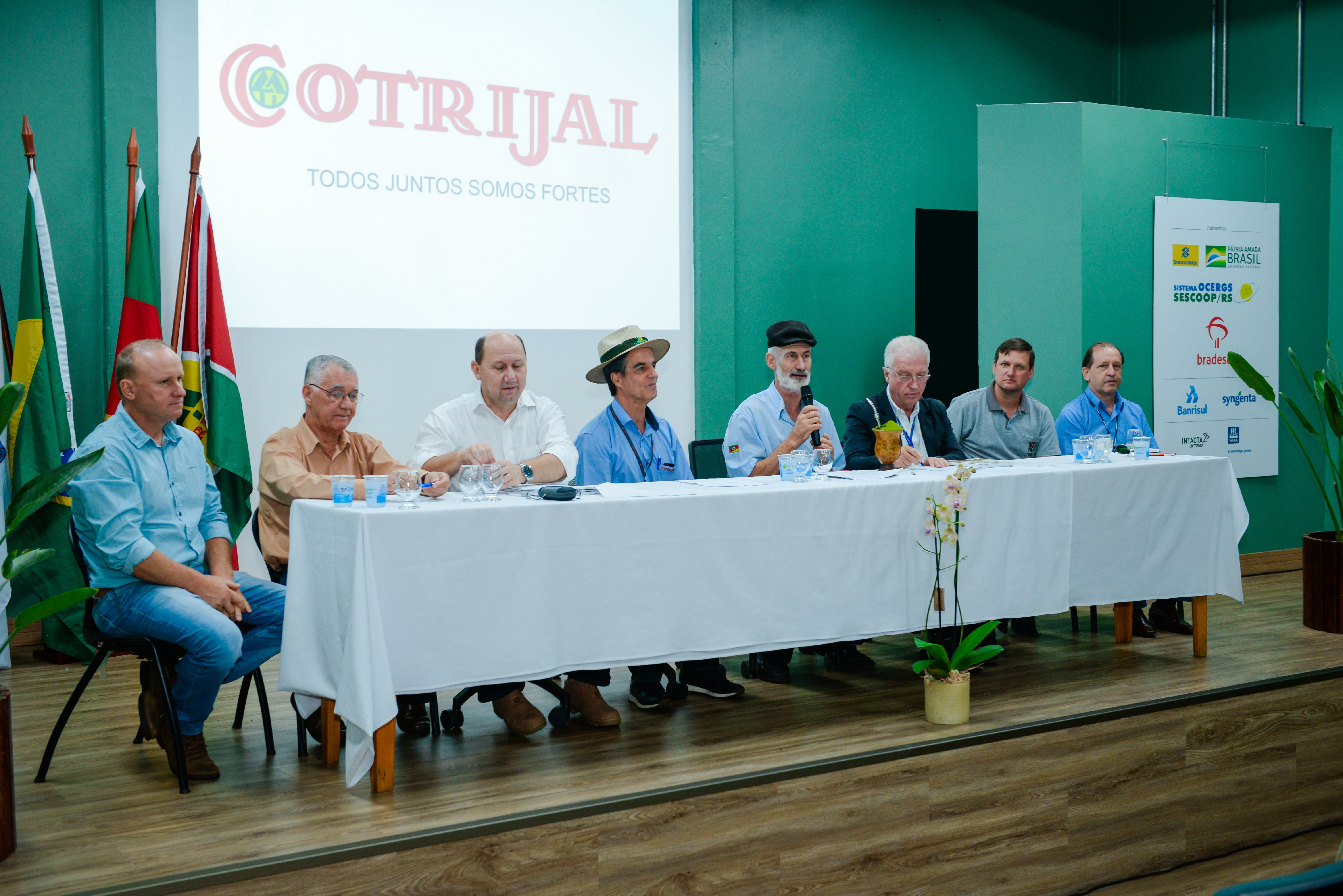 Painel debate projeto de lei sobre etanol no RS