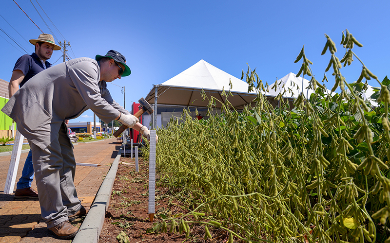 Equipes fazem ajuste finais no parque