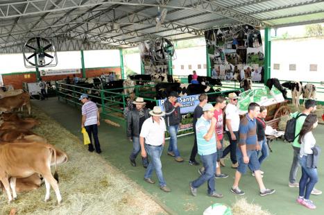 Nova ra��o para terneiras atrai produtores na Expodireto