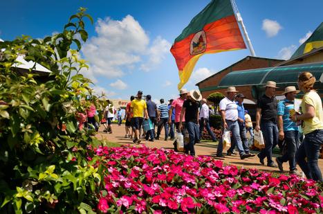 Edi��o de 2017 ser� lan�ada dia 14 de fevereiro