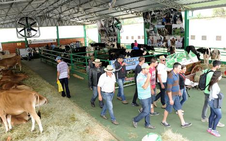 Fomento leiteiro em destaque na 18 Expodireto