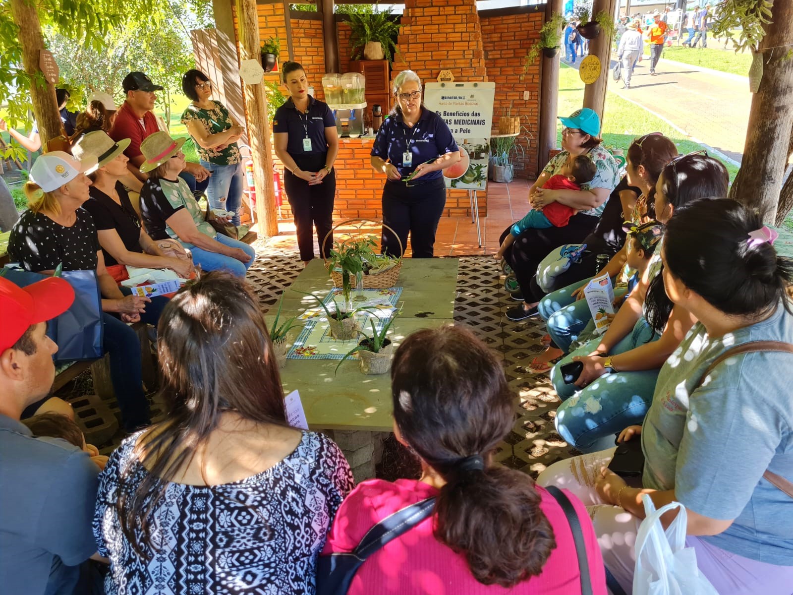 Expodireto 2023 - Os benef�cios das plantas medicinais para a pele s�o destaque no horto da Emater/RS-Ascar 