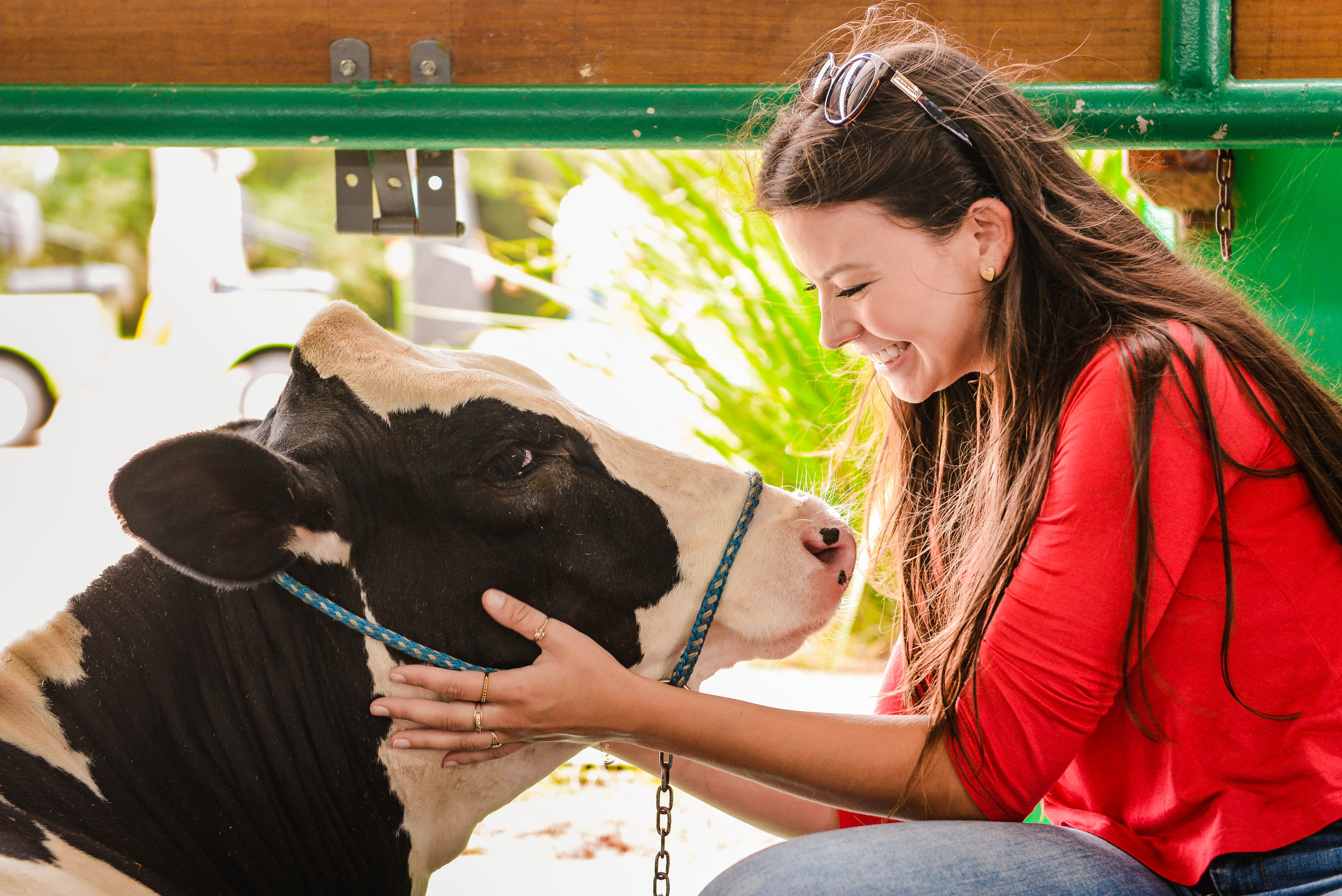 Pecuaristas contam com programa��o especial na Expodireto Cotrijal