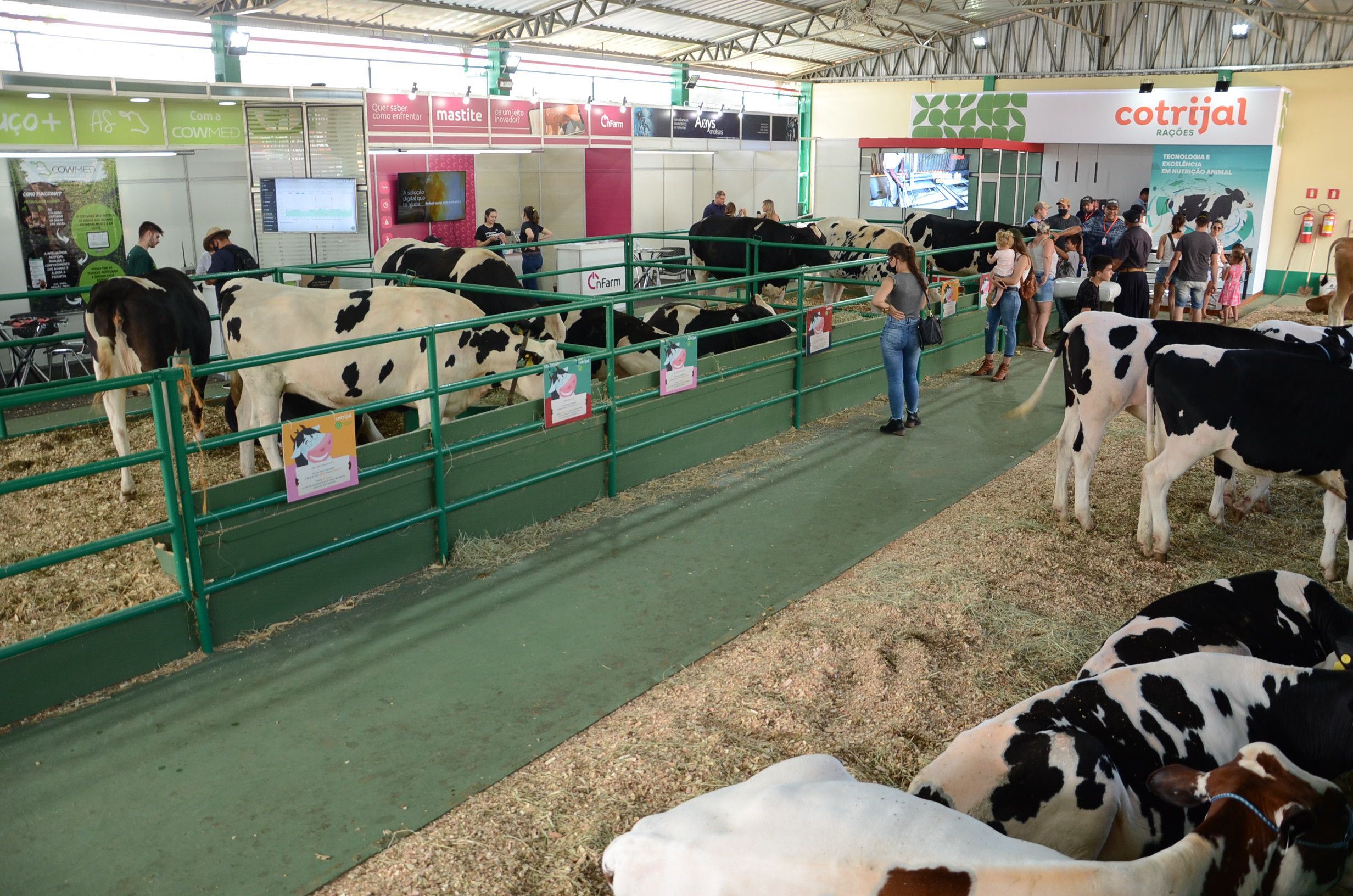 Startups apresentam novas tecnologias para a atividade leiteira